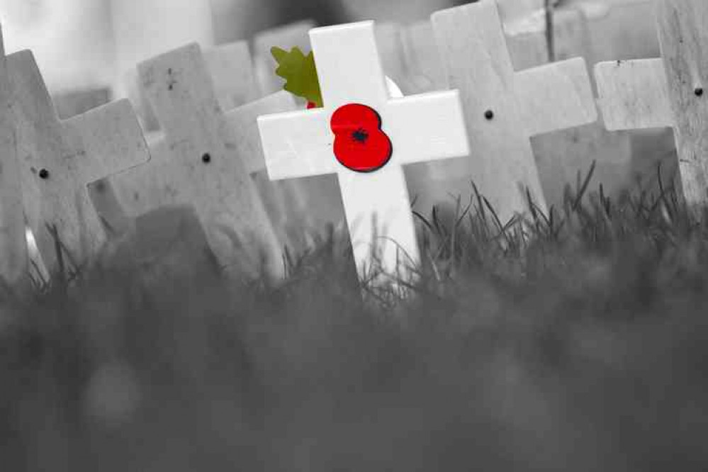 The Poppy Appeal Concert is set to be held (Photo: George Hodan)