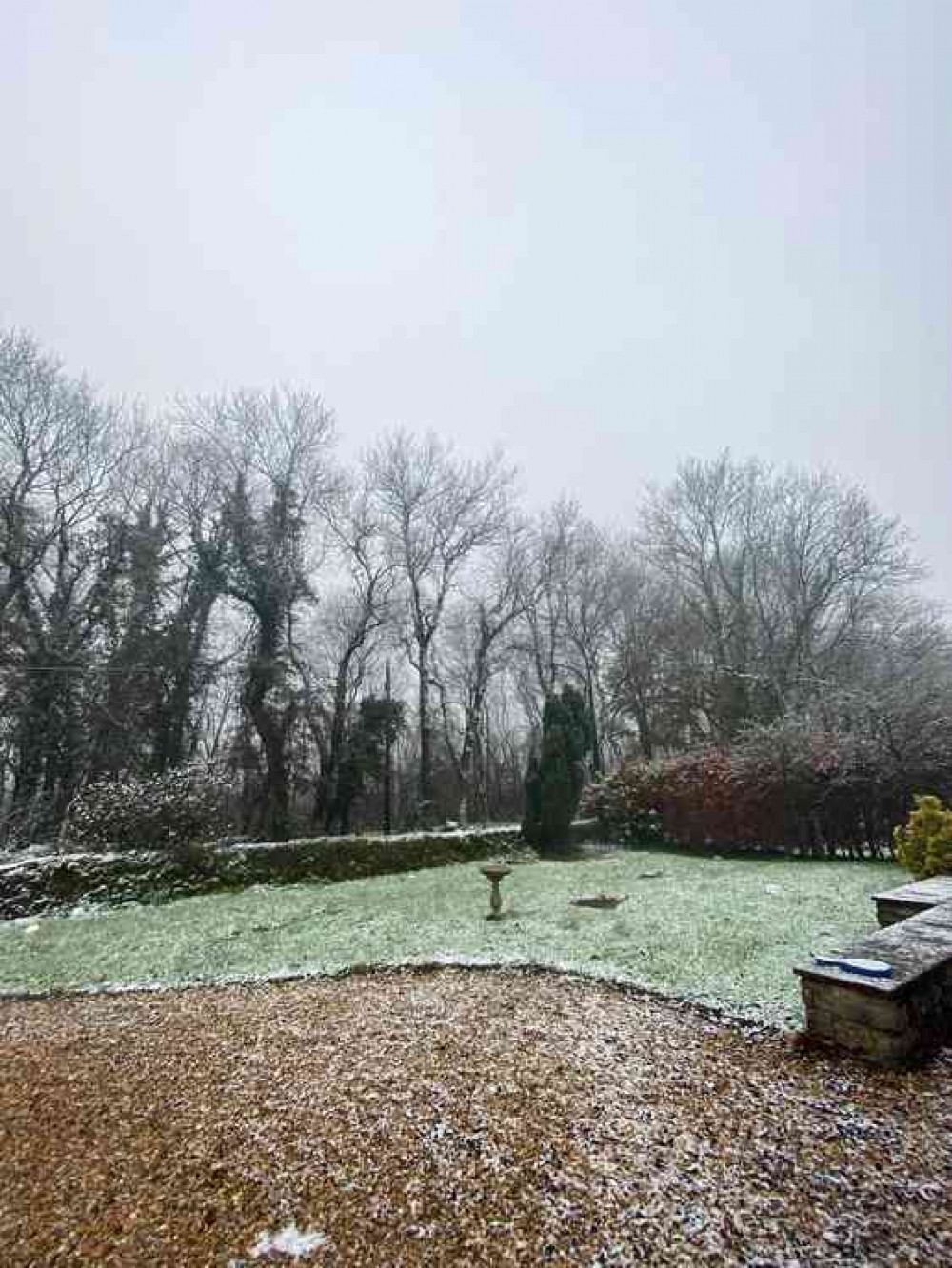 A light dusting of snow along Durston Drove near Wells (Photo: Trevor Lethaby)