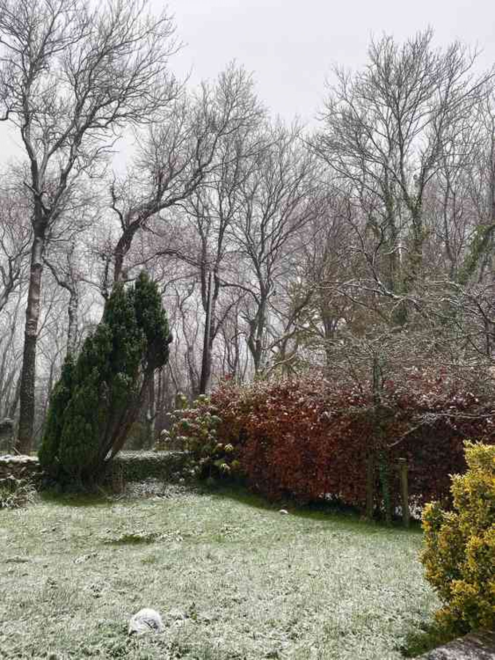 Some snow settled at Durston near Wells (Photo: Trevor Lethaby)