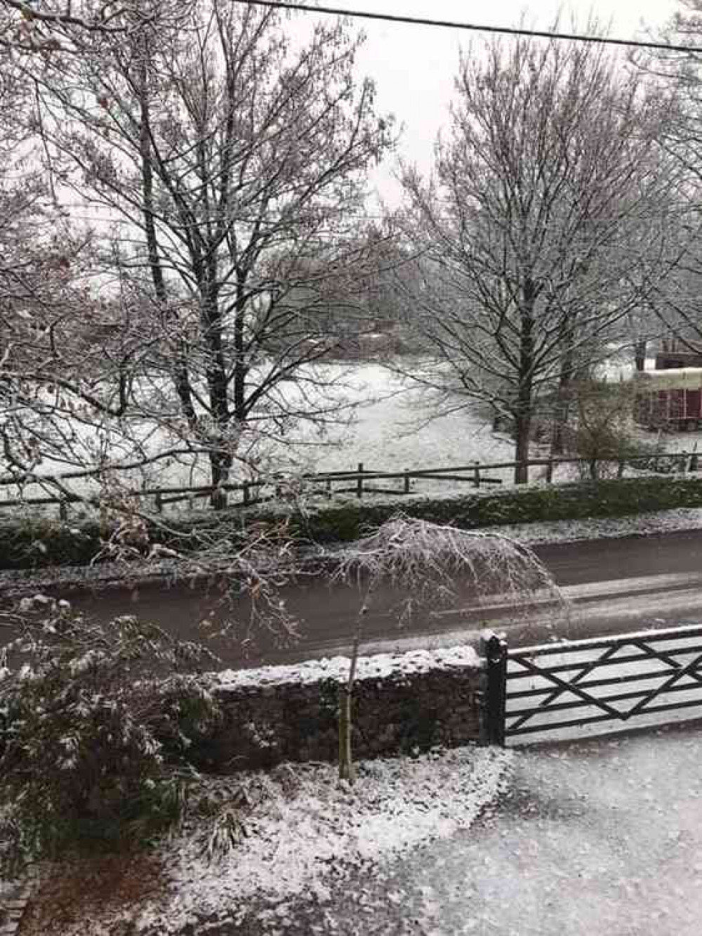 On top of the Mendips (Photo: Jayne Adams)