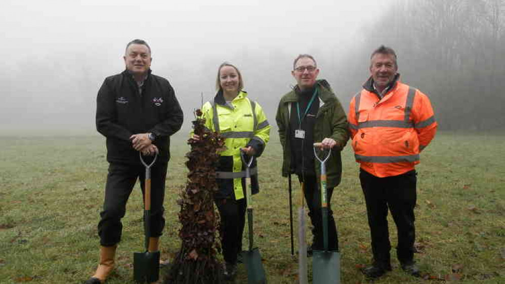 From left, Paul James, Idverde; Haylee Wilkins, Mendip District Council's group manager for neighbourhood services; Bo Walsh, tree officer at Mendip District Council; and Charles Elliott, Idverde