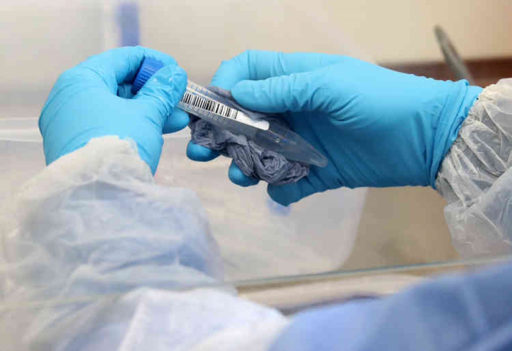 There have been three more coronavirus-related deaths in the Mendip area There have been three more coronavirus-related deaths in the Mendip area