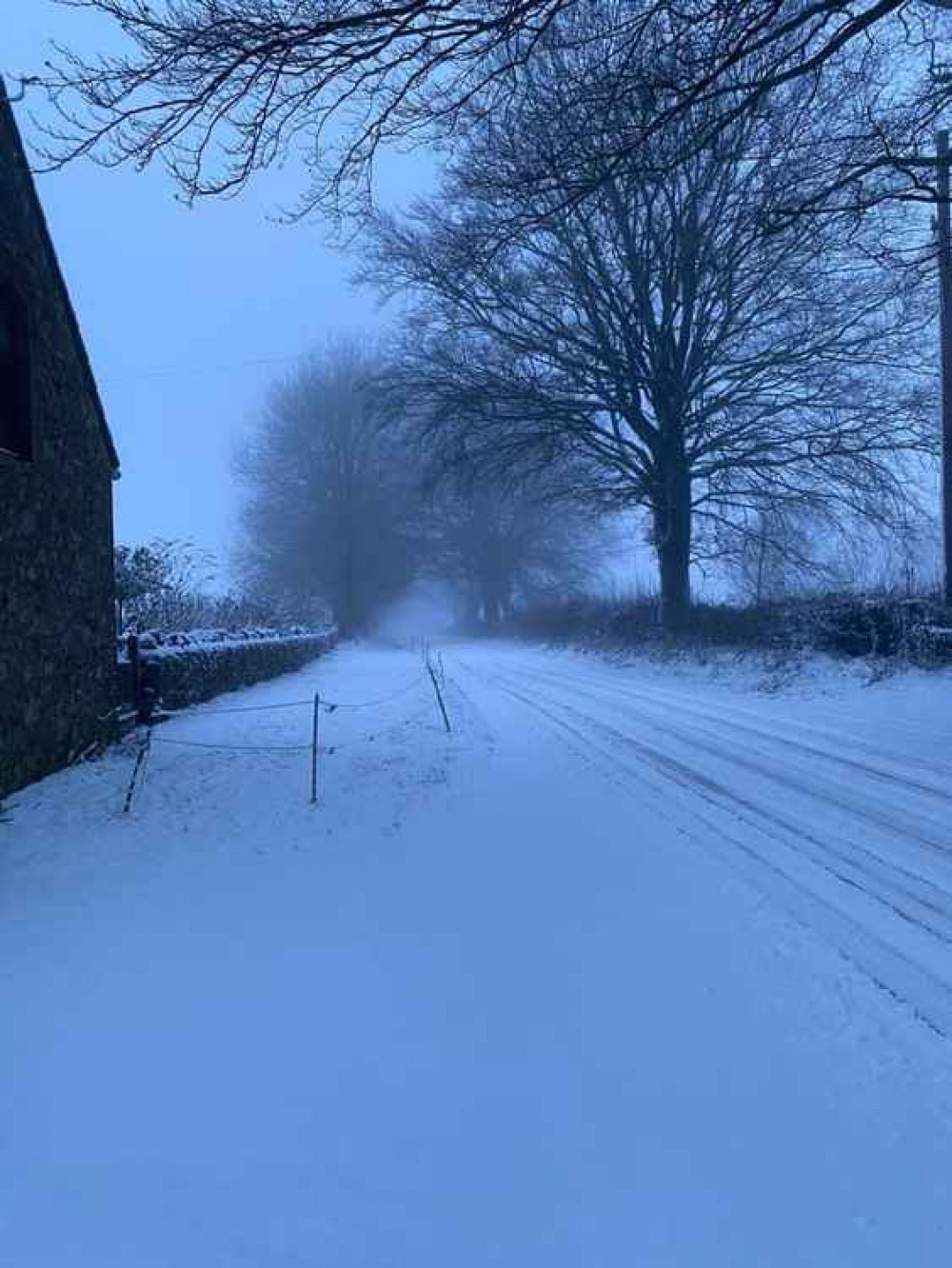 East Harptree snow (Photo: Christopher Wookey)