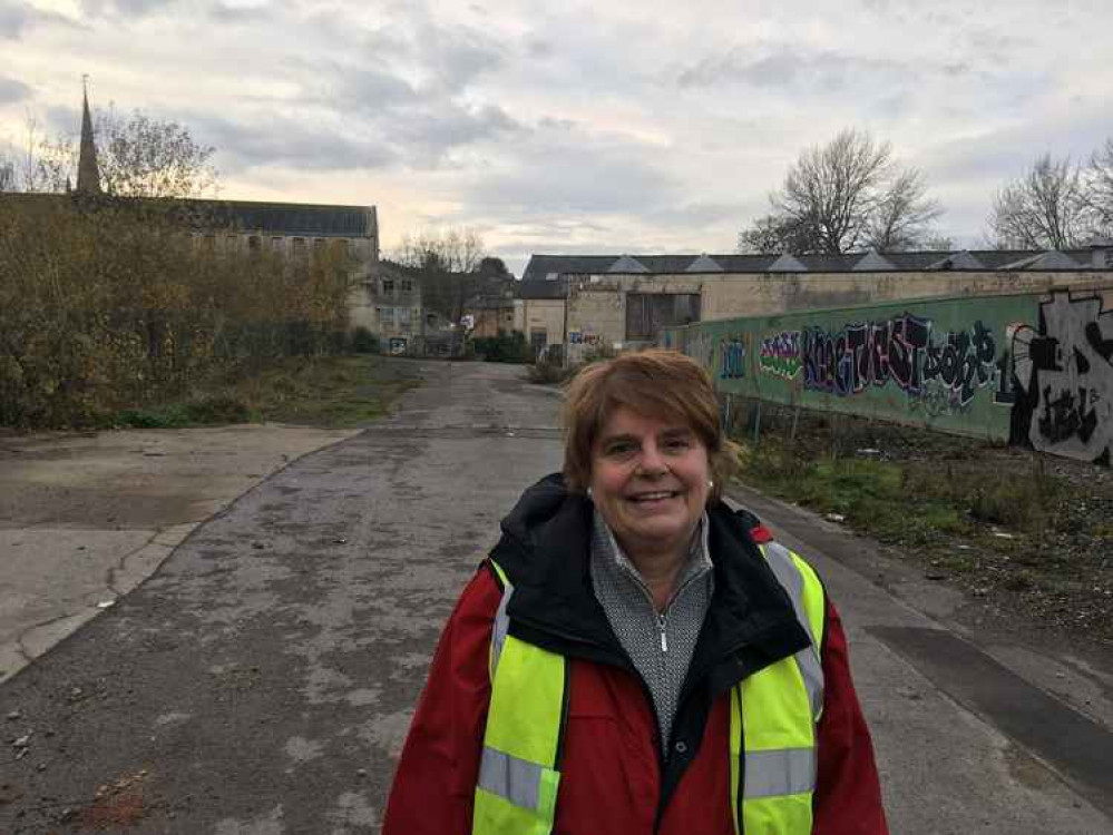 Mendip District Council leader Ros Wyke (Photo: Daniel Mumby) Mendip District Council leader Ros Wyke (Photo: Daniel Mumby)